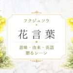フクジュソウ　花言葉