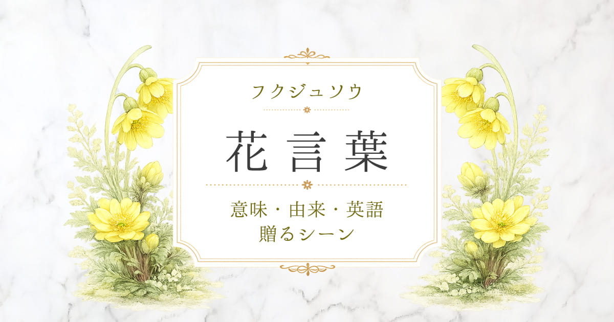 フクジュソウ　花言葉
