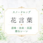 スノードロップ　花言葉