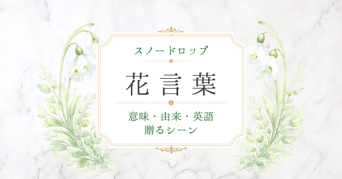 スノードロップ　花言葉